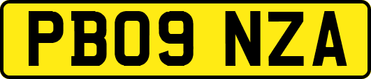 PB09NZA