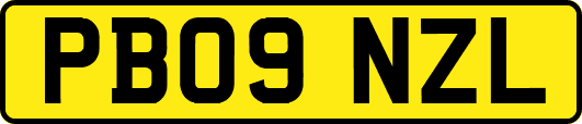 PB09NZL