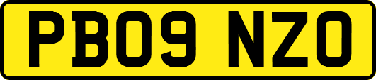 PB09NZO