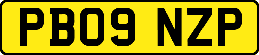 PB09NZP