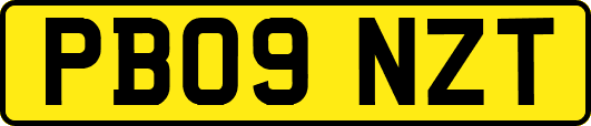 PB09NZT