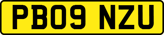 PB09NZU