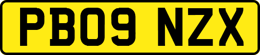 PB09NZX