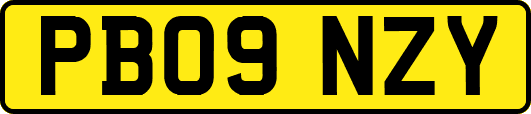 PB09NZY