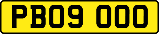 PB09OOO