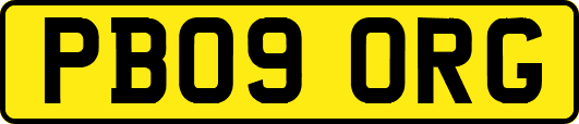 PB09ORG