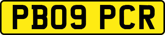 PB09PCR
