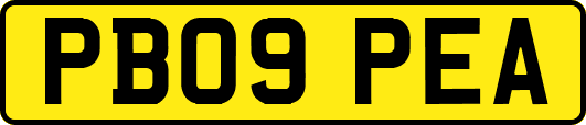PB09PEA