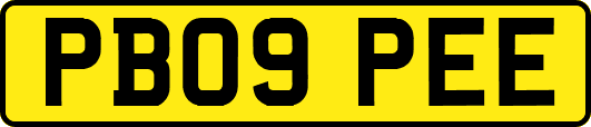 PB09PEE