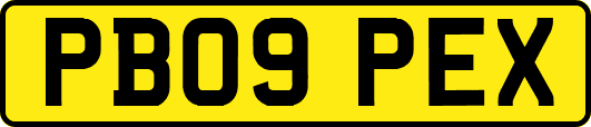 PB09PEX