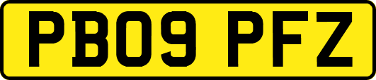 PB09PFZ