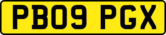 PB09PGX