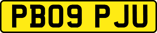PB09PJU