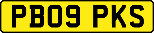 PB09PKS