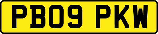 PB09PKW