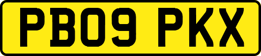 PB09PKX