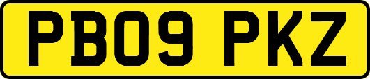 PB09PKZ