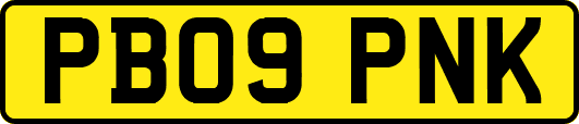 PB09PNK