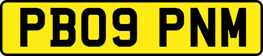 PB09PNM