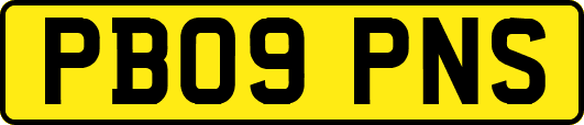PB09PNS