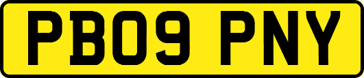 PB09PNY