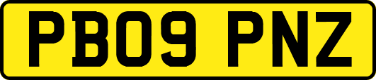 PB09PNZ