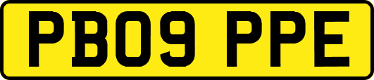 PB09PPE
