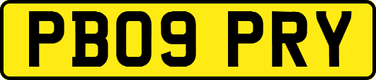 PB09PRY