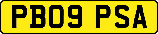 PB09PSA
