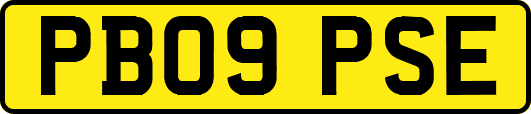 PB09PSE