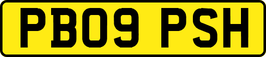 PB09PSH