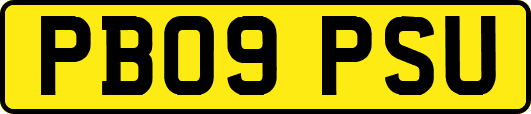PB09PSU