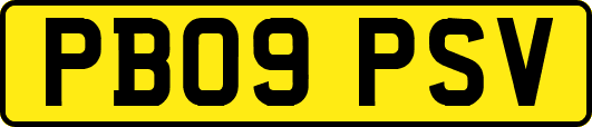 PB09PSV