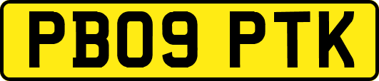 PB09PTK