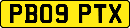 PB09PTX