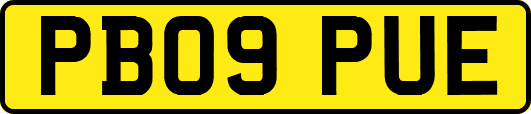 PB09PUE
