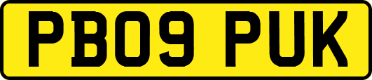 PB09PUK
