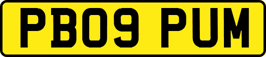 PB09PUM