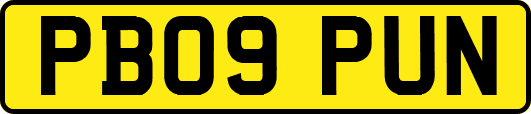 PB09PUN