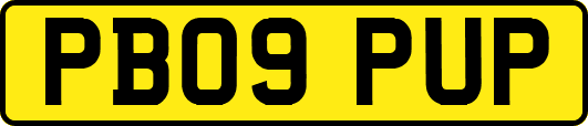 PB09PUP