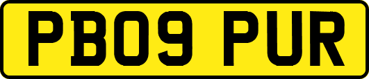 PB09PUR