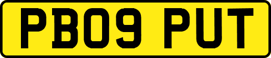 PB09PUT