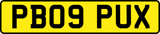 PB09PUX