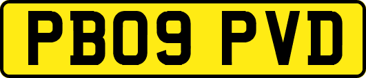 PB09PVD