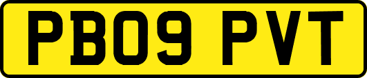 PB09PVT