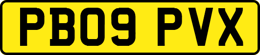 PB09PVX