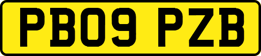 PB09PZB