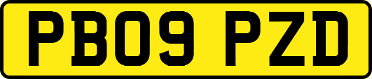 PB09PZD