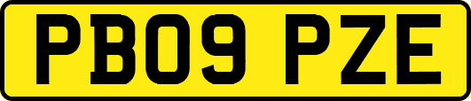 PB09PZE