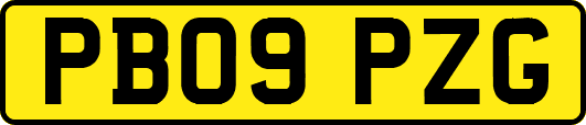 PB09PZG